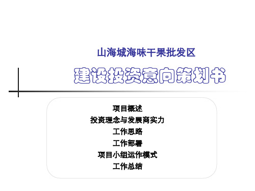 山海城海味干果批发区建设投资意向策划书ppt课件