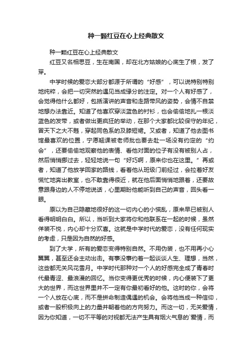 种一颗红豆在心上经典散文