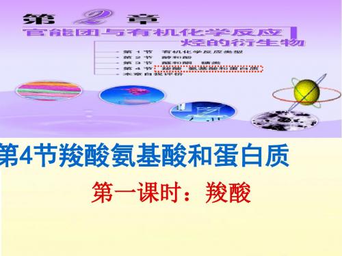 鲁科版高中化学选修五课件羧酸 (4)