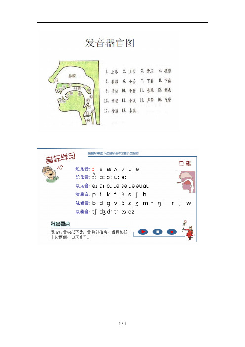 英语国际音标发音口型_舌位一览表