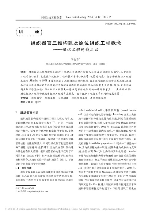 组织器官三维构建及原位组织工程概念_组织工程连载之四_王佃亮