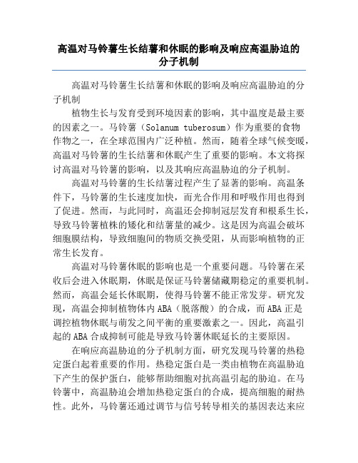 高温对马铃薯生长结薯和休眠的影响及响应高温胁迫的分子机制