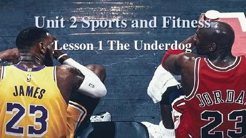 必修一Unit2 Lesson1 Reading-The underdog(公开课