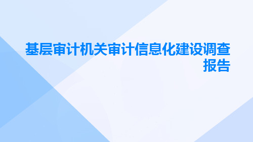 基层审计机关审计信息化建设的调查报告