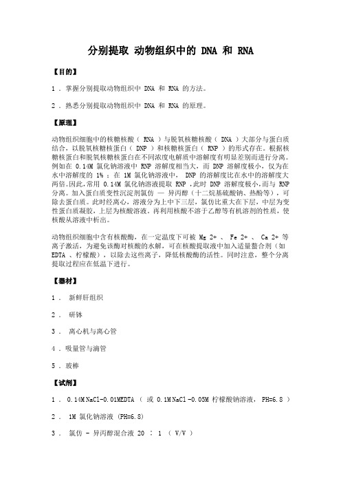 09 生物化学实验--分别提取动物组织中的DNA和RNA