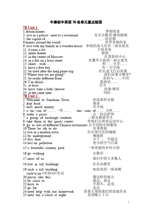 牛津初中英语7B各单元重点短语