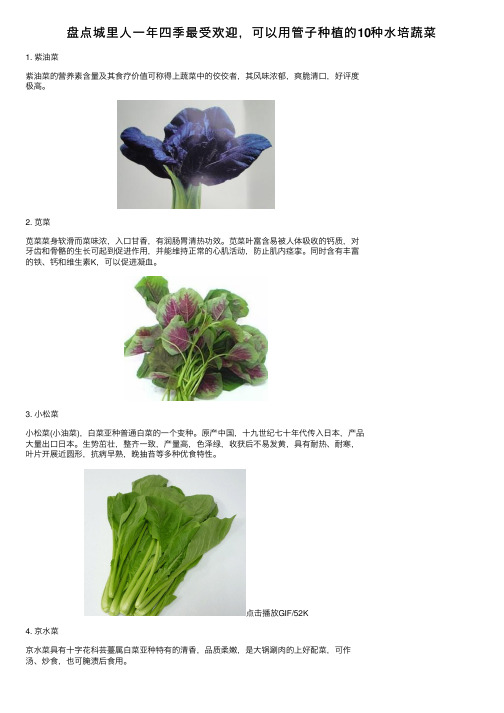 盘点城里人一年四季最受欢迎，可以用管子种植的10种水培蔬菜