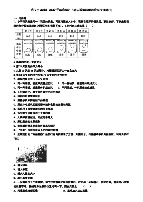 武汉市2019-2020学年物理八上期末模拟质量跟踪监视试题(4)