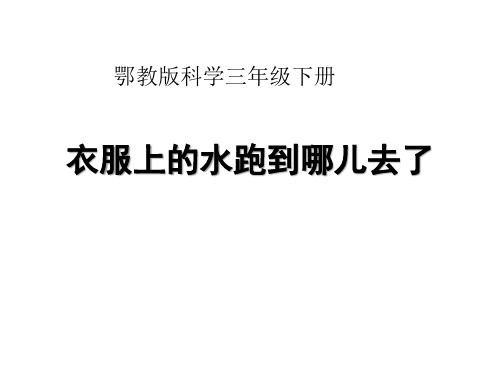 鄂教版三年级科学下册精品教学课件 《衣服上的水跑到哪儿去了》PPT课件