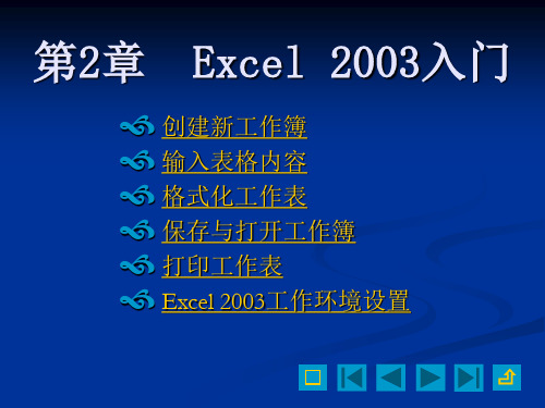 Excel2003精品教程  入门教程