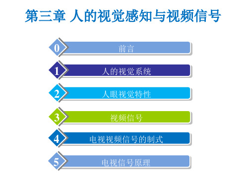 第三章 人的视觉感知与视频信号-现代多媒体通信技术-阮秀凯-清华大学出版社