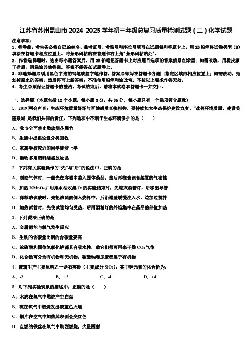 江苏省苏州昆山市2024-2025学年初三年级总复习质量检测试题(二)化学试题含解析