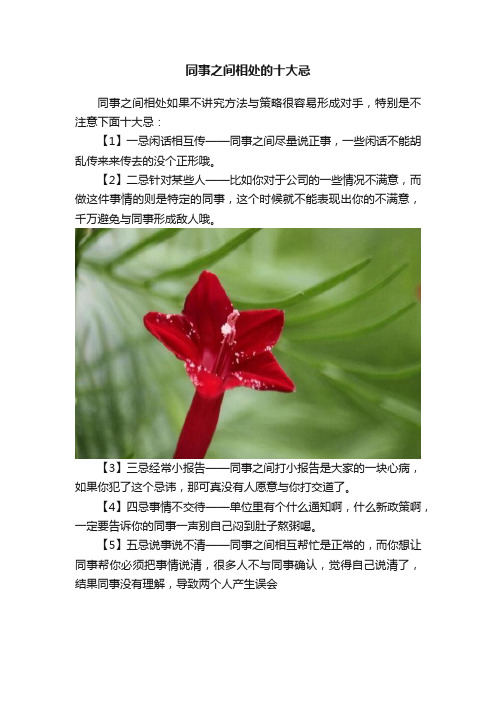 同事之间相处的十大忌