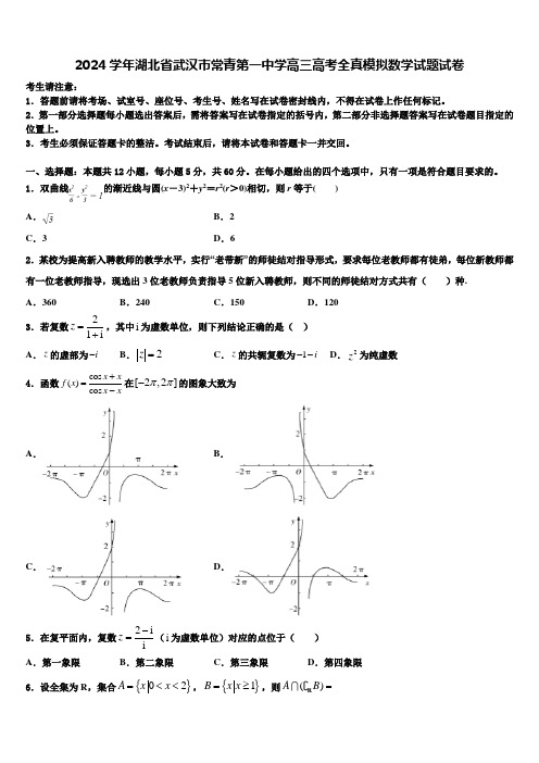 2024学年湖北省武汉市常青第一中学高三高考全真模拟数学试题试卷