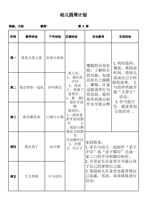 大上大班第三周计划