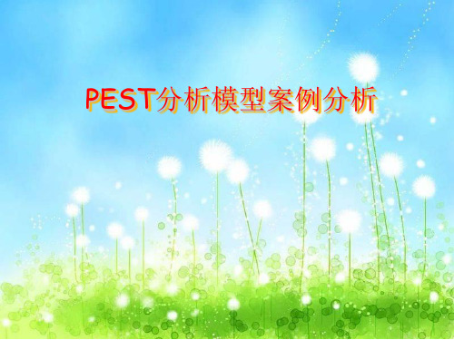 PEST分析模型案例分析