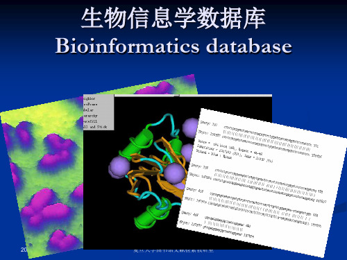 生物信息学数据库