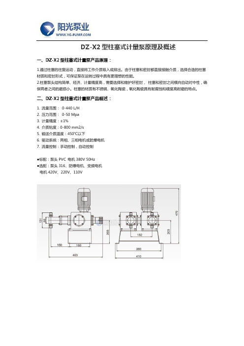 DZ-X2型柱塞式计量泵原理及概述