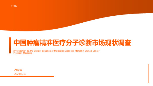 2023年中国肿瘤精准医疗分子诊断市场现状深度调研与投资趋势预测报告报告模板