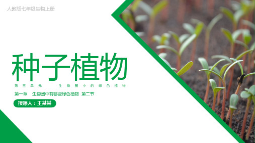 初中生物人教版七年级上册《种子植物》教育教学课件