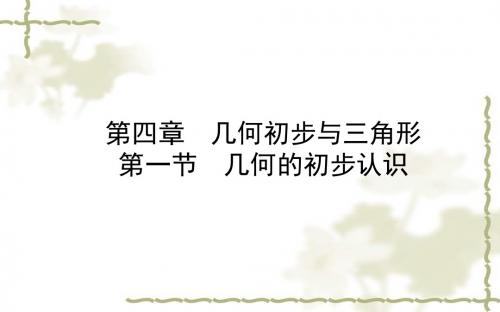 2018年德州市中考一轮复习《4.1基本平面图形》课件