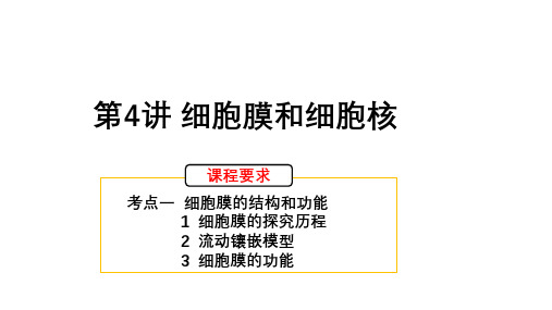 高三生物一轮复习课件：细胞膜和细胞核