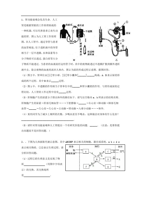 泌尿系统习题(含答案)