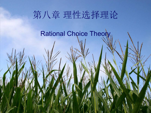 rational choice theory