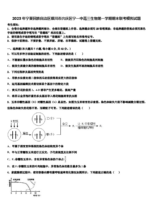 2023年宁夏回族自治区银川市兴庆区宁一中高三生物第一学期期末联考模拟试题含解析