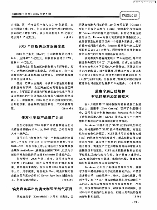 2005年巴斯夫经营业绩斐然