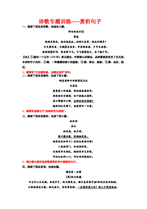 高考语文复习：诗歌专题训练赏析句子