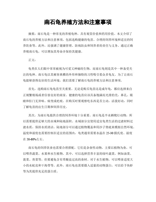 南石龟养殖方法和注意事项