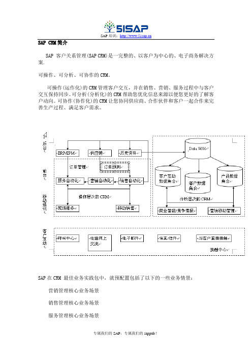 SAP CRM简介