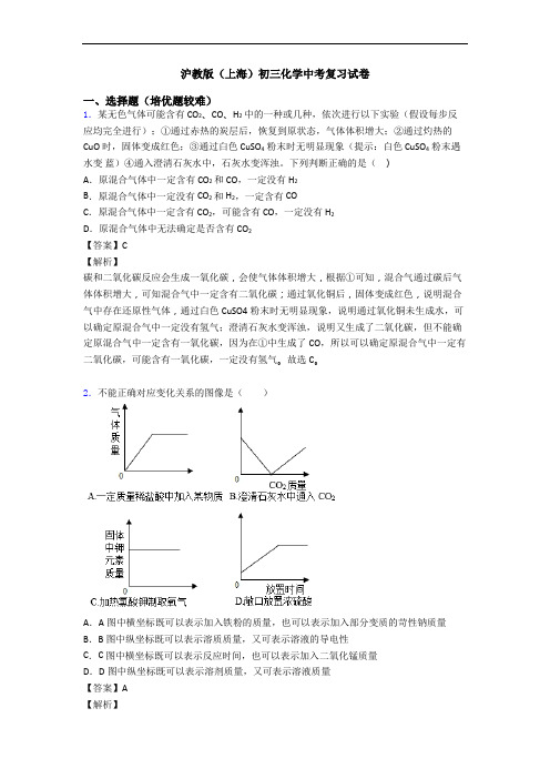 沪教版(上海)初三化学中考复习试卷