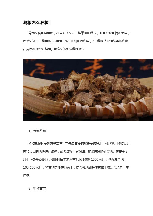 葛根怎么种植