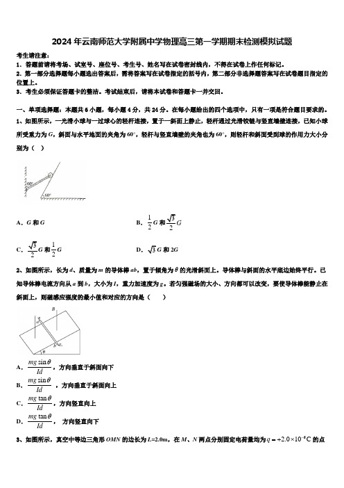 2024年云南师范大学附属中学物理高三第一学期期末检测模拟试题含解析