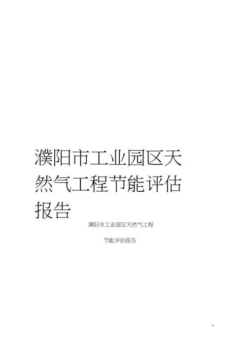 濮阳市工业园区天然气工程节能评估报告模板