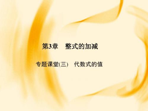 华师大版七年级数学上册(课件)：专题课堂(三) 代数式