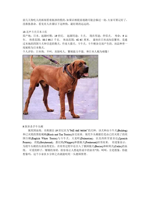 世界明犬大全