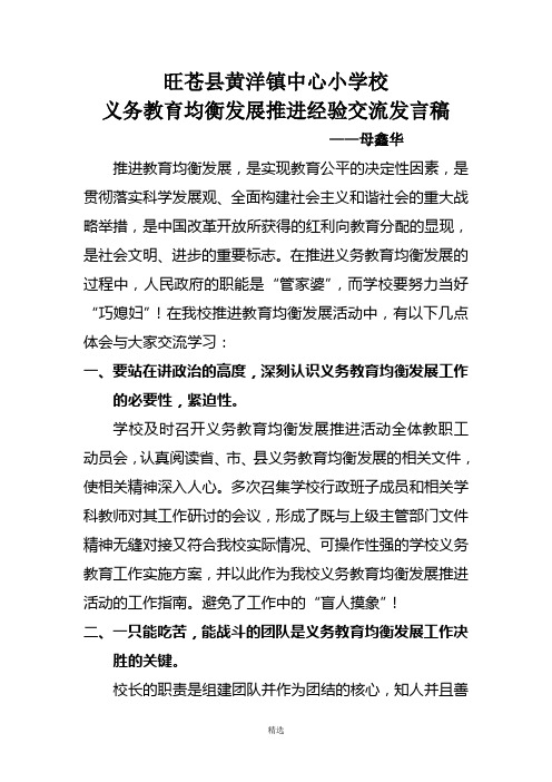 均衡发展推进经验交流发言