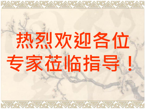 高边坡专家论证汇报材料