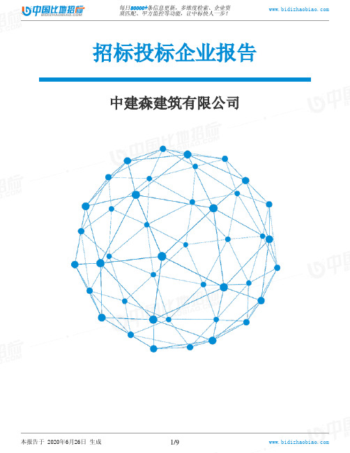 中建森建筑有限公司-招投标数据分析报告