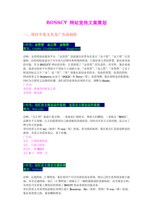 网站宣传文案策划