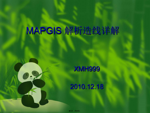 mapgis解析造线详解