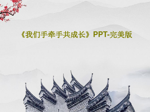 《我们手牵手共成长》PPT-完美版共38页PPT