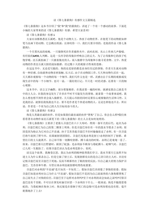 读《第七条猎狗》有感作文五篇精选