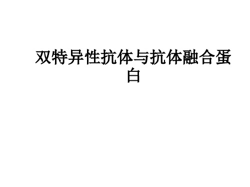 双特异性抗体与抗体融合蛋白ppt课件