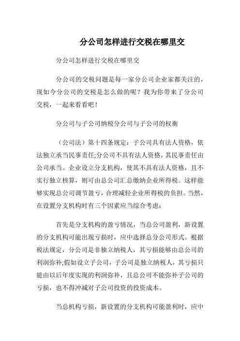 分公司怎样进行交税在哪里交