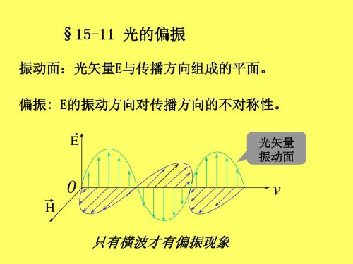 大学物理光的偏振