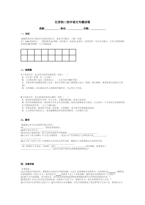 江苏初二初中语文专题试卷带答案解析
